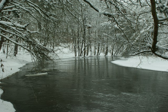 Rzeka Ina Zimą