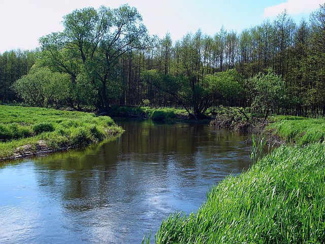 Rzeka Ina